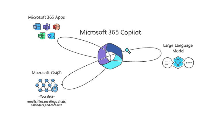Bạn nên đăng ký Microsoft 365 hiện hoạt để Colipot hoạt đông